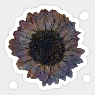 Linework Pastel Sunflower Drawing Sticker